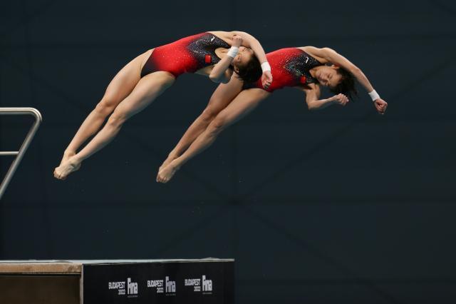 跳水世界杯中国冲奥运八金 全红婵有望金牌大满贯